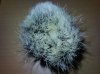20110317004.jpg