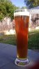 Beer.jpg