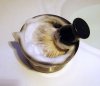 Buckets of lather.jpg Buckets of lather.jpg